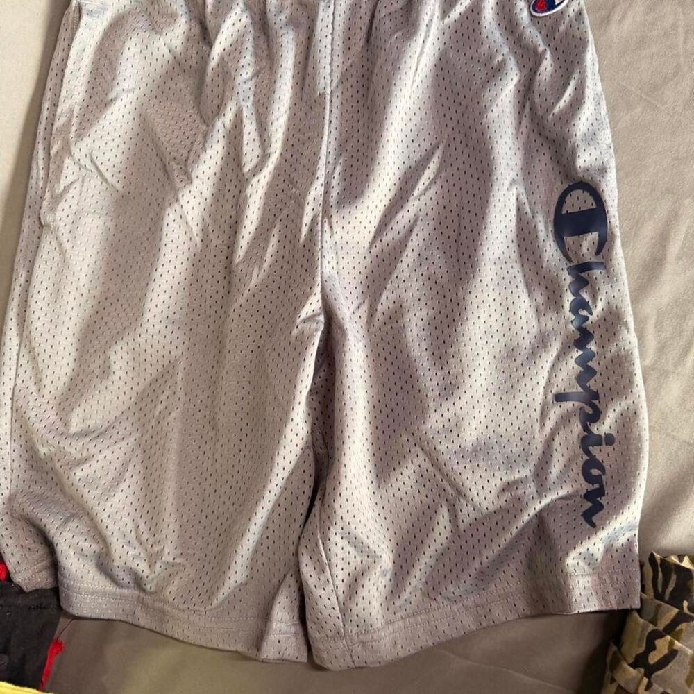 Champion Men's Grey and Purple Shorts